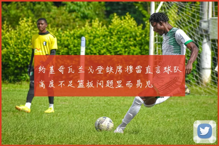 约基奇瓦兰戈登缺席穆雷直言球队高度不足篮板问题显而易见