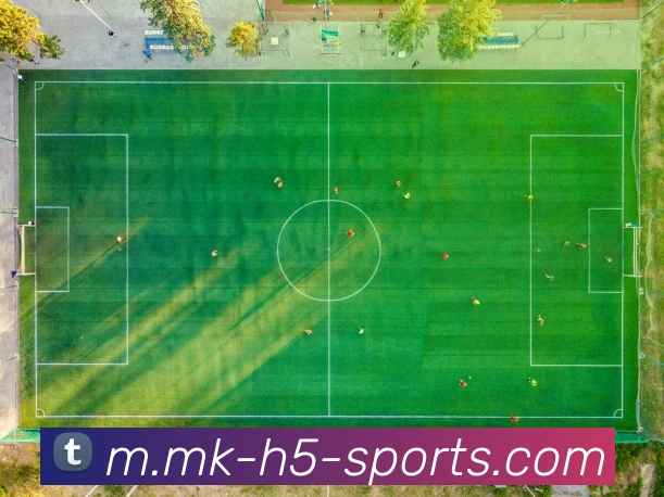 多媒体互动体验