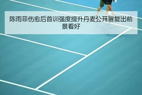 陈雨菲伤愈后首训强度提升丹麦公开赛复出前景看好(mksports)